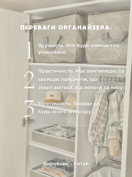 Органайзер для зберігання несезонних речей 00392 фото